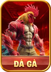 icon đá gà f8bet